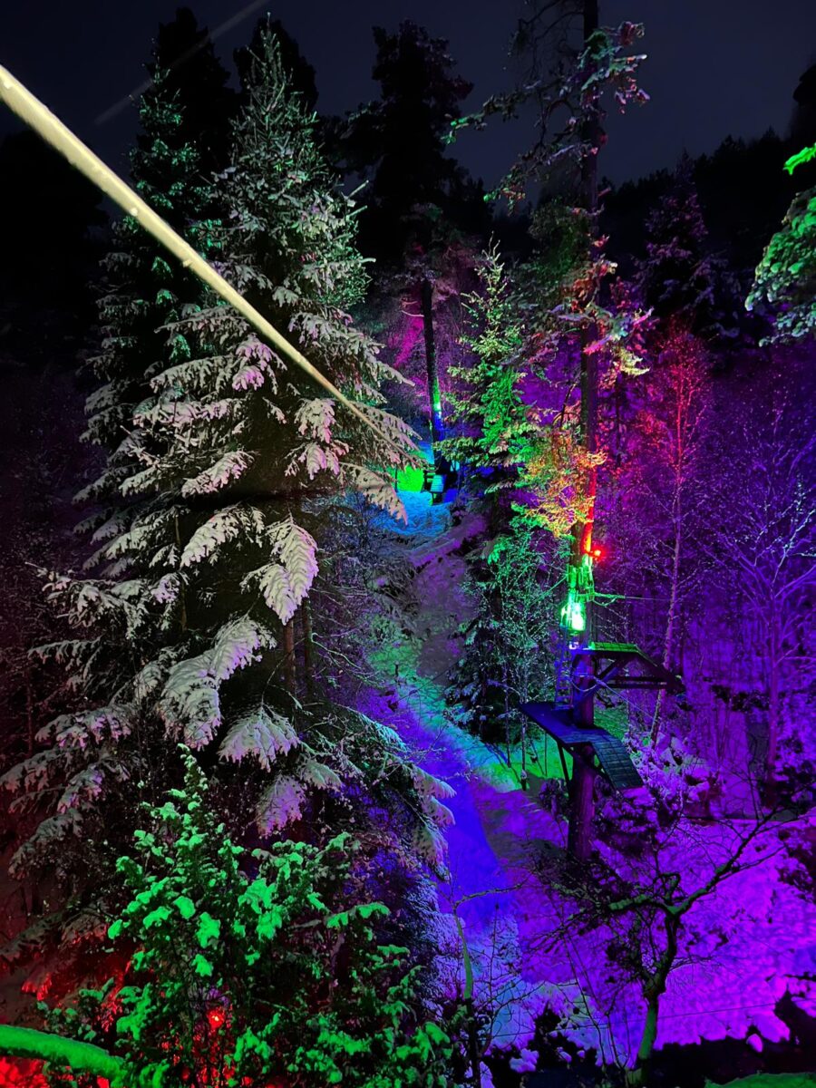 Night Zip Adventure - one of the best things to do in Aviemore and the Cairngorms.